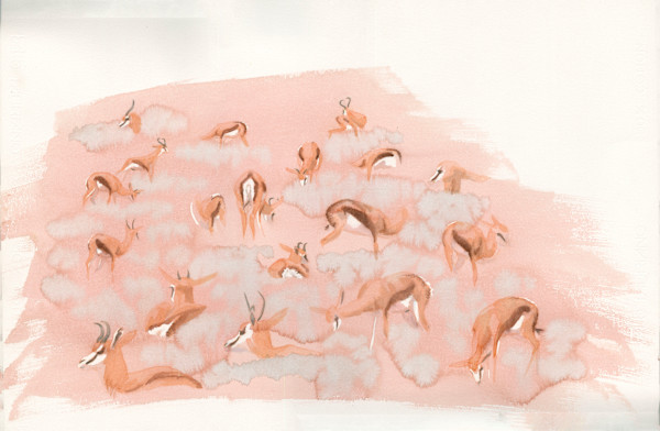 Springbok Frieze by RAG Davies