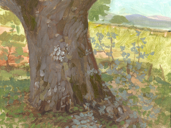 Holm Oak by RAG Davies