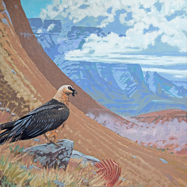 Giant's Castle by RAG Davies