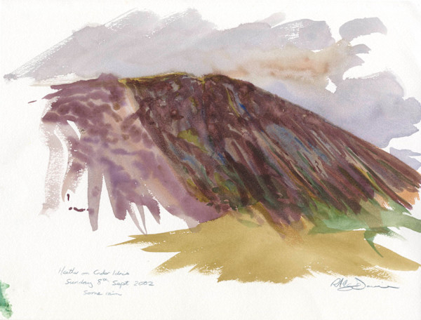 Heather on Cader Idris by RAG Davies, Image 1.