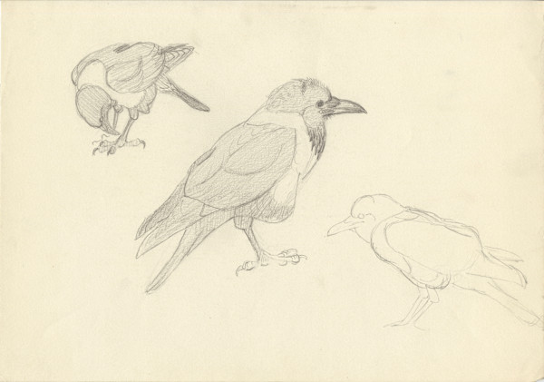 Cuthbert poses by RAG Davies