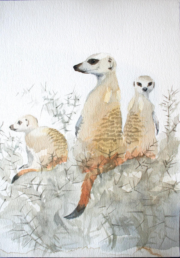 meerkat trio by RAG Davies