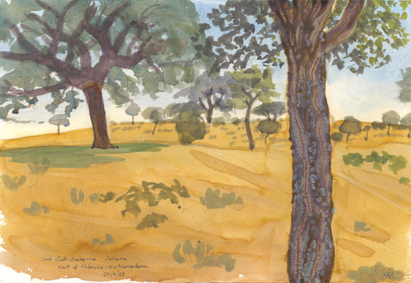 Cork Oak Savanna East of Plasencia by RAG Davies