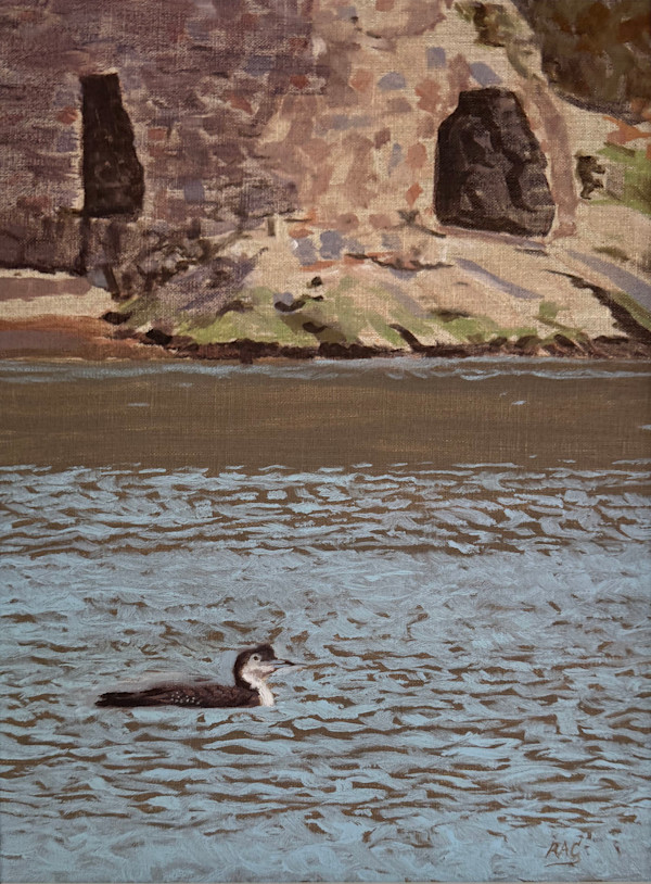 Great Northern Diver & Lime Kilns at Solva Harbour by RAG Davies