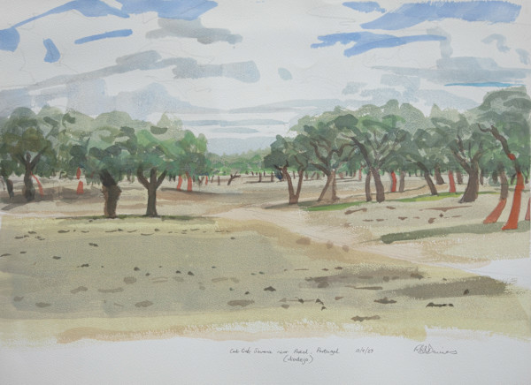 Cork Oak Savanna near Portel by RAG Davies