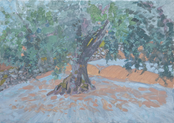 Olive Tree by RAG Davies