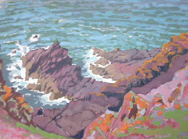 Exposed Shore on Skokholm by RAG Davies