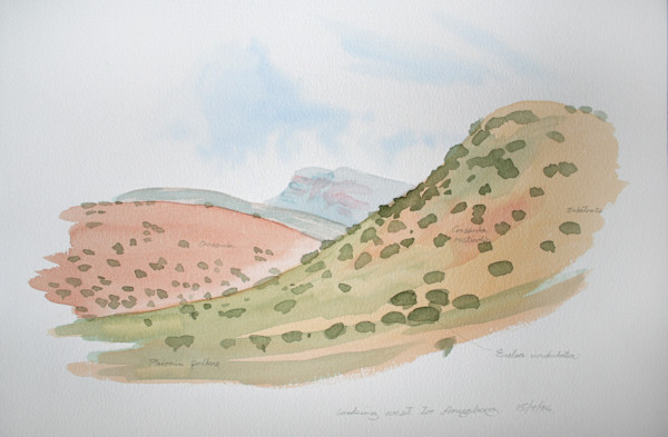 Anysberg hillside sketch by RAG Davies
