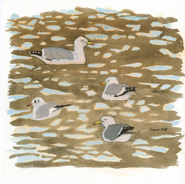 Seagulls, oil sketch by RAG Davies