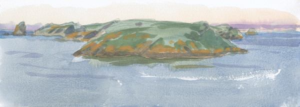 Skomer from the Deer Park by RAG Davies