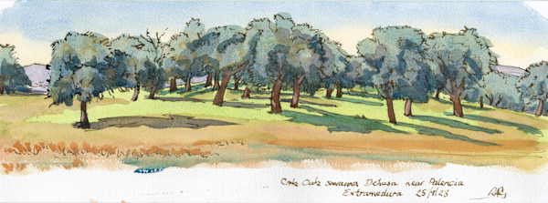 Cork Oaks  near Plasencia (print) by RAG Davies
