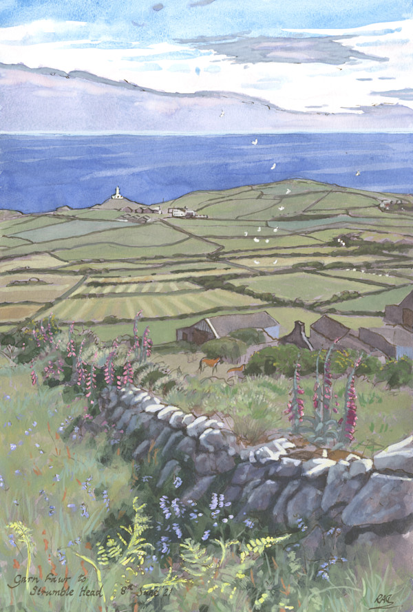Garn Fawr to Strumble Head by RAG Davies