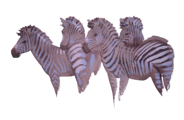 Zebra at the waterhole by RAG Davies
