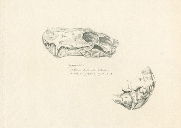 Gorgonopsian (detail) by RAG Davies