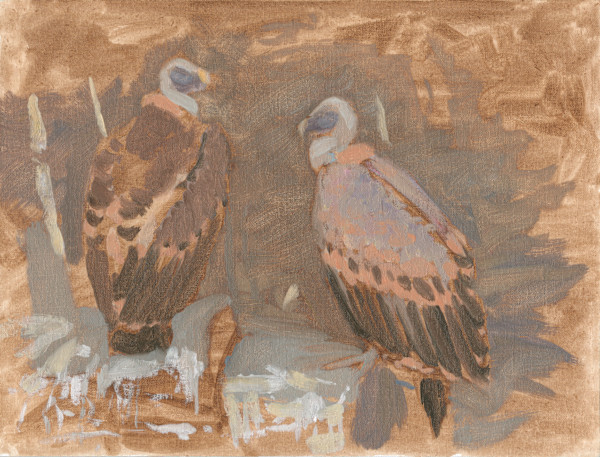 Griffon pair by RAG Davies