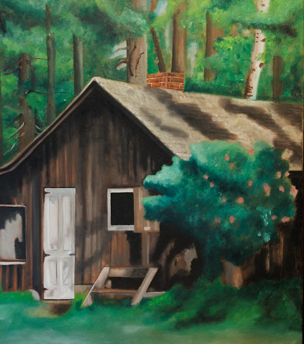 The shack (Aldo Leopold) by Dorian Büchi