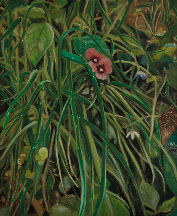 Violettes by Dorian Büchi