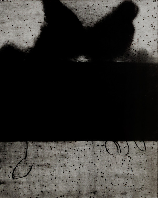 Bird of Summer by Anton Kirchmair