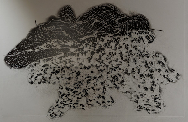 Dog in Flight by Anton Kirchmair