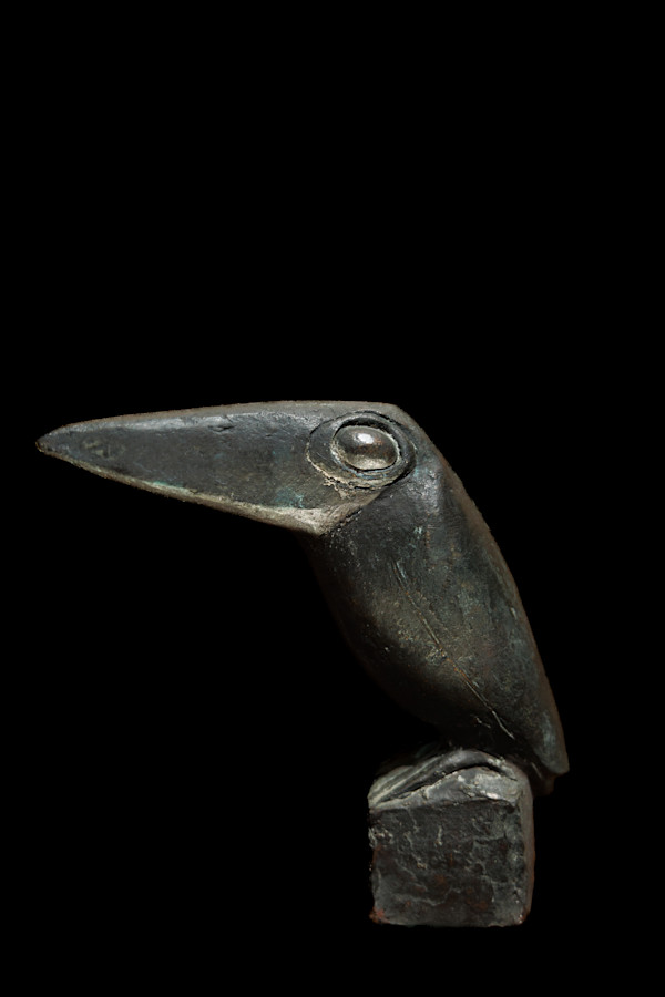 Kingfisher by Heinz Theuerjahr