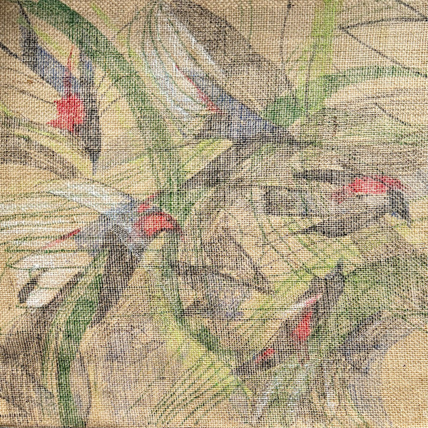 Skimming the Lough by Fiona Stewart