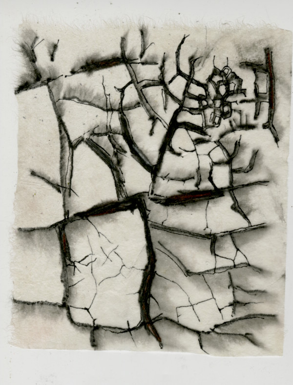 Joya Patterns Cracks by Kimberly Callas