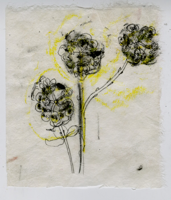 Joya Patterns Flower 2 by Kimberly Callas