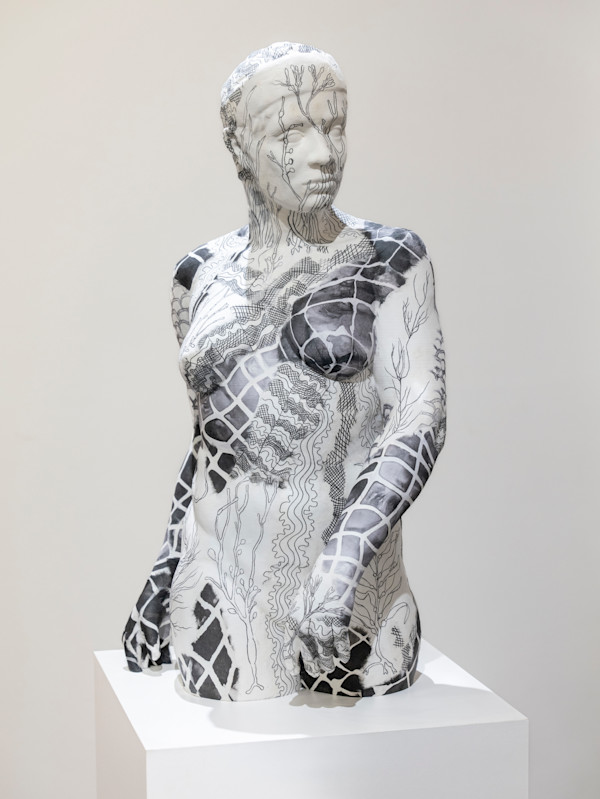Rosetta by Kimberly Callas