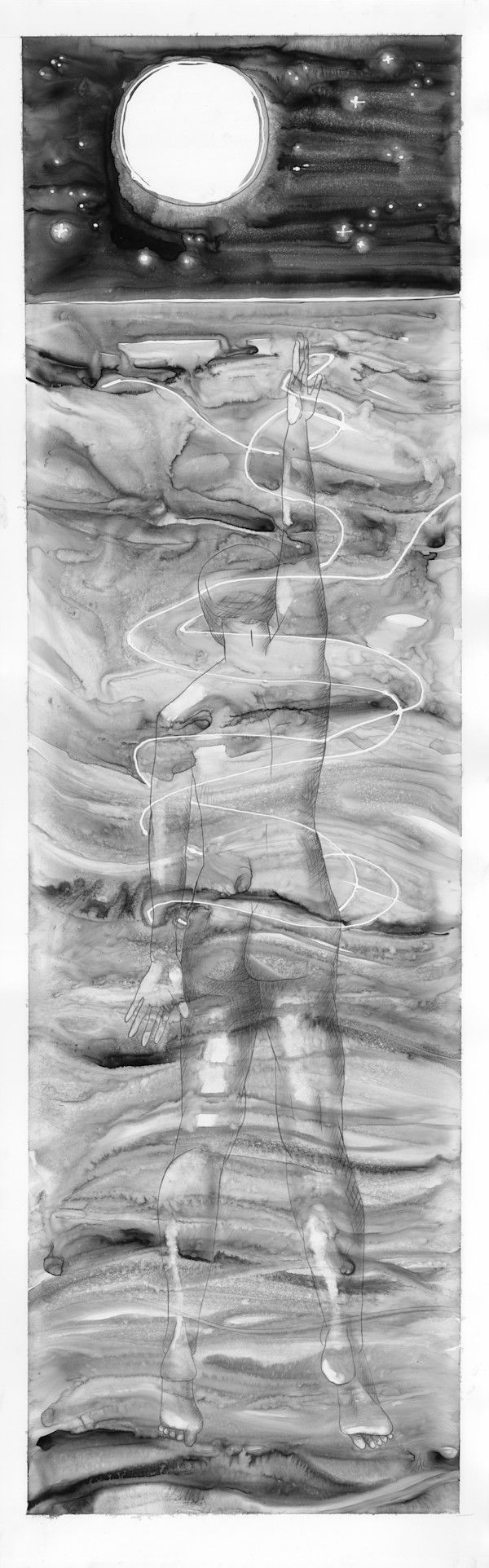 Ocean Swimmer Entanglement 4 by Kimberly Callas