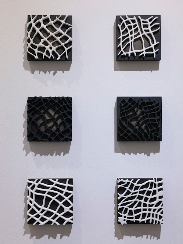 3D Nets (Black and White Series) by Kimberly Callas