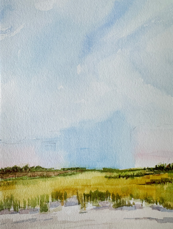Light Rain and Shore Grasses, Galveston Isle, July 10,2025 by Marjorie Lindsay