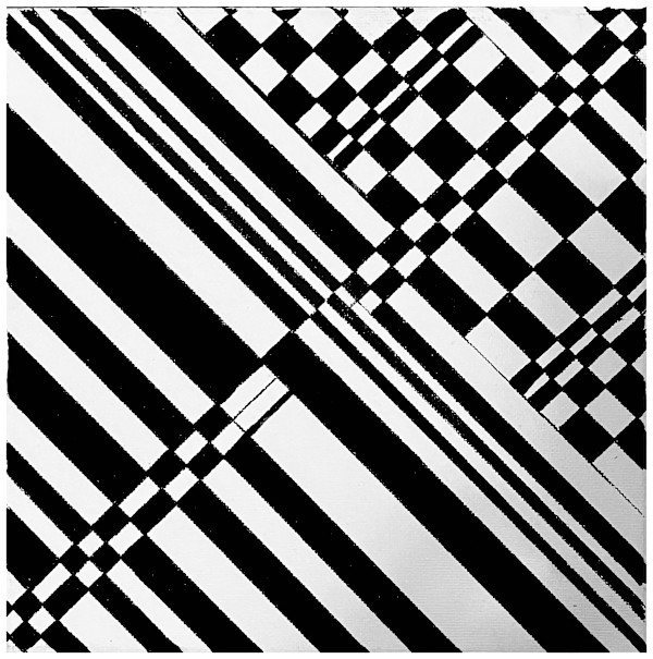 Adding Dynamic to a Black-and-White Grid by Amy Ione