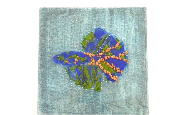 Fused Glass Beta Fish Wall Hanging by Susan Mason, Image 1.