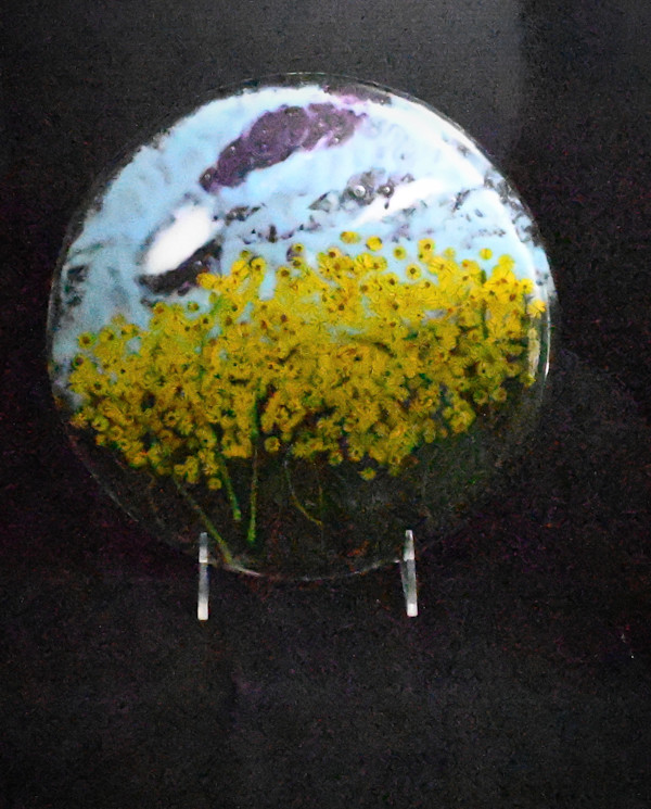 Sunflower meadow purple cloud by Susan Mason