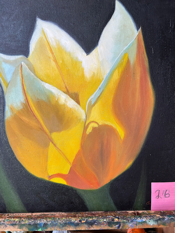 Giant Tulip by Laura Hartman