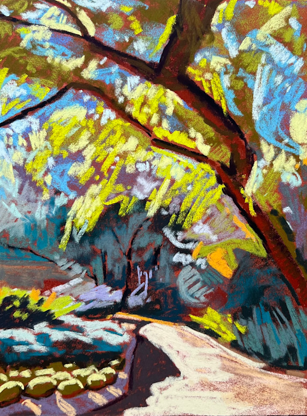 Sunshine Through the Trees by Monte Perry