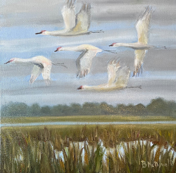 Sandhill Cranes in Flight by Monte Perry