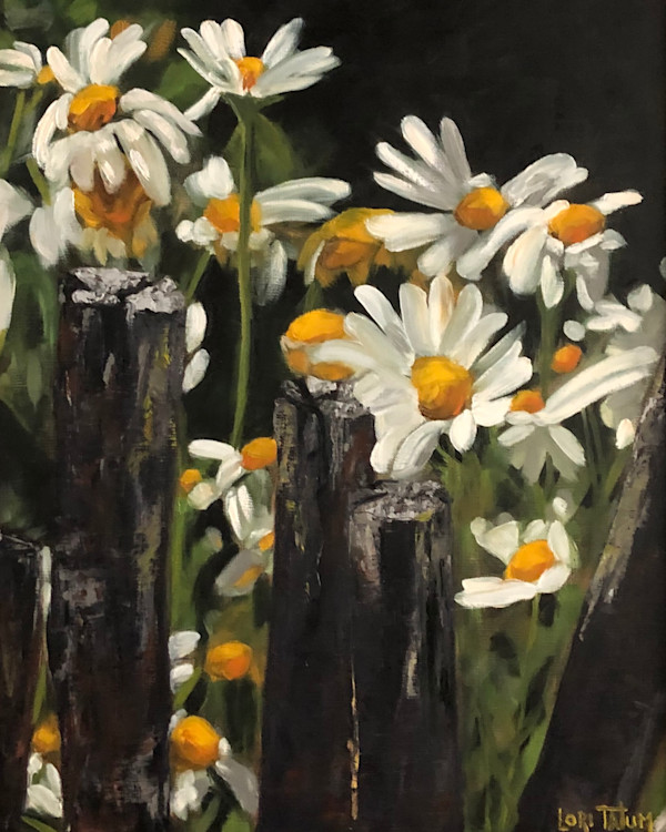 Daisy Day by Monte Perry