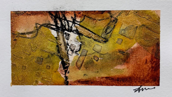 Where the Light Splits by Monte Perry