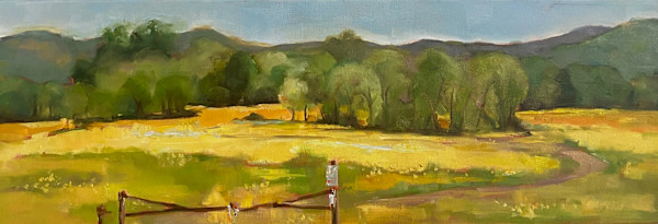 Field of Yellow Gold by Monte Perry