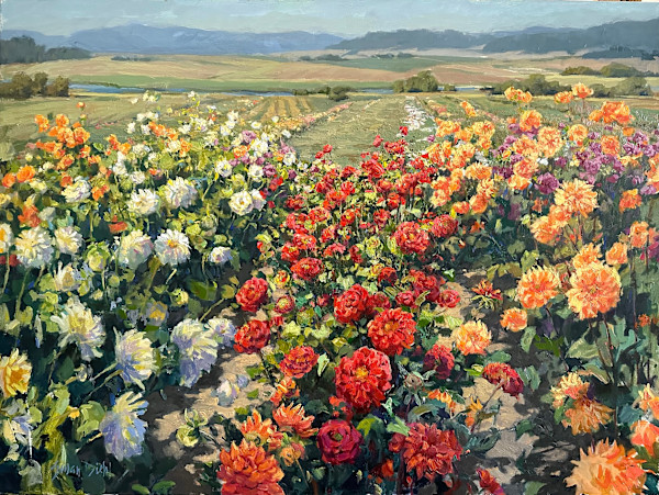 Hello Dahlias by Monte Perry