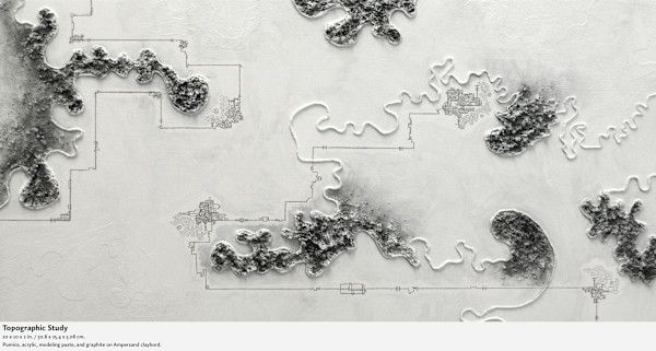 Topographic Study by Marissa Mason