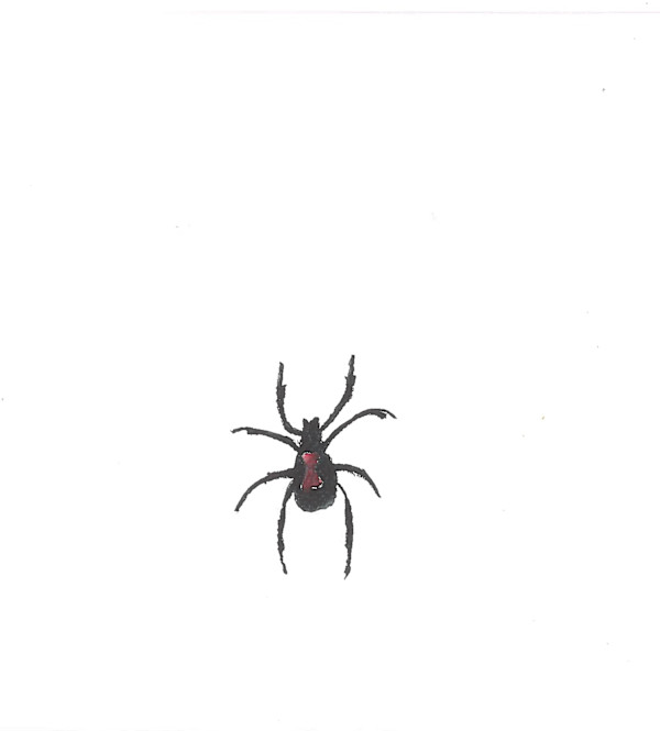 Black Widow by Charlene Huston