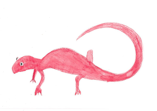 Nick the Salamander by Charlene Huston