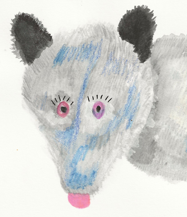 Oscar the Opossum by Charlene Huston