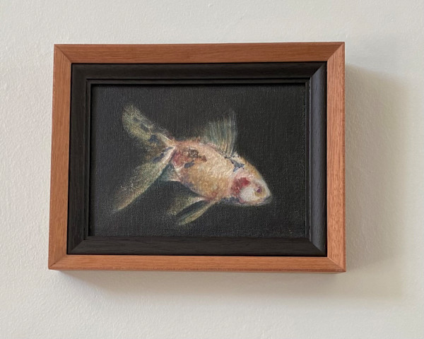 Goldfish study by Karin Moustakas