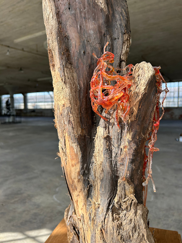 Cypress Red Weave by Caitlin Ezell Waugh, Image 1.