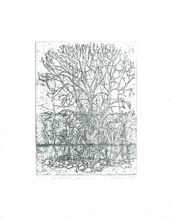 Arbre, le Vidourle, Printemps 12/25 by Julia Kaulbach