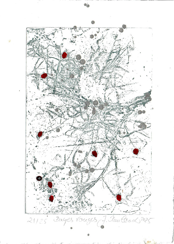 bayes rouges 21/25 by Julia Kaulbach