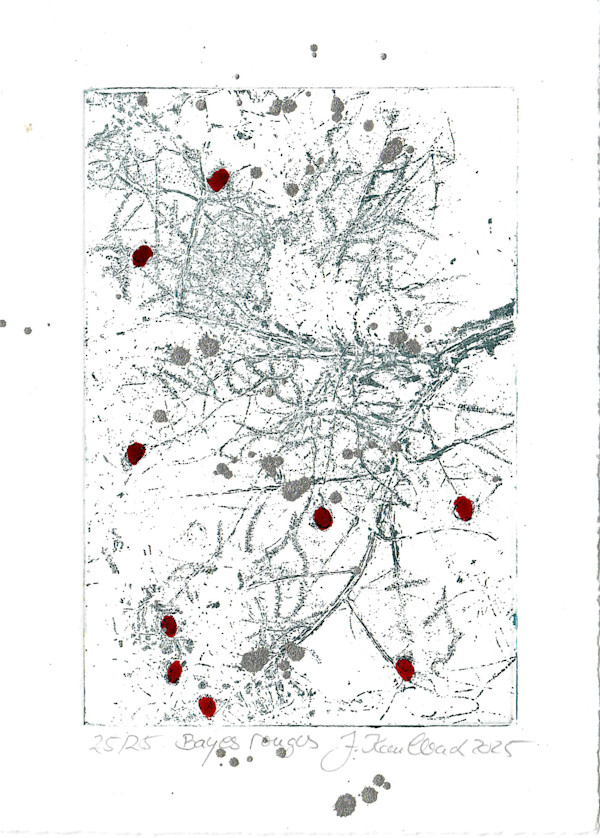 bayes rouges 25/25 by Julia Kaulbach